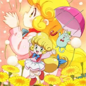 『花の魔法使いマリーベル』（1992年）（テレビアニメ）
