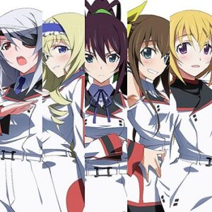 『IS 〈インフィニット・ストラトス〉』（2011年）（テレビアニメ）