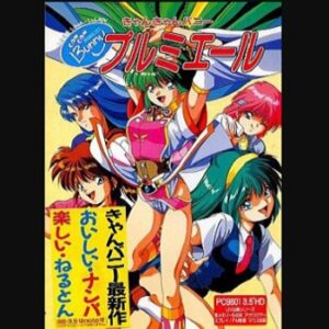 『きゃんきゃんバニープルミエール』（パソコンゲーム）