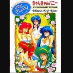 『きゃんきゃんバニー』（パソコンゲーム）