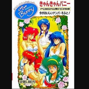 『きゃんきゃんバニー』（パソコンゲーム）