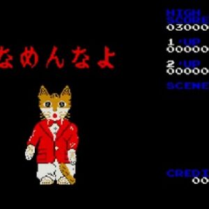 『なめんなよ』（アーケードゲーム）