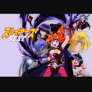 『スレイヤーズNEXT』（1996年）（テレビアニメ）