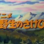 『アニメ 野生のさけび』(1982年)(テレビアニメ)