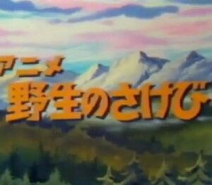 『アニメ 野生のさけび』（1982年）（テレビアニメ）